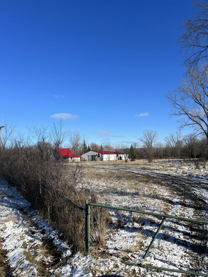 Kings Animaland Park - Dec 19 2023 (newer photo)